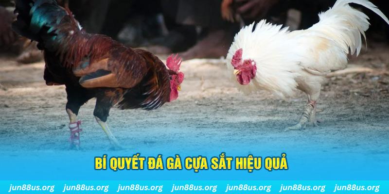 1888bet xổ số miền bắc thứ ba hàng tuần