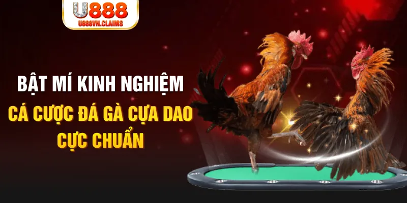 1888bet casino hồ tràm có cho người việt vào không