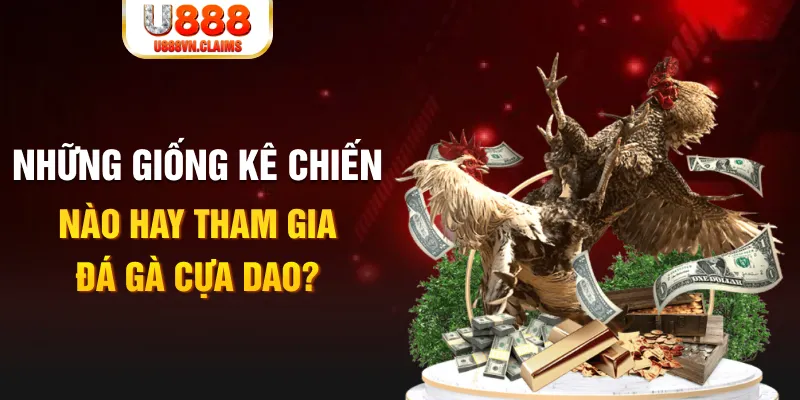 1888bet BG Trực Tuyến