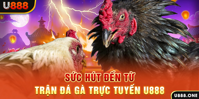 1888bet đăng nhập poker 2024