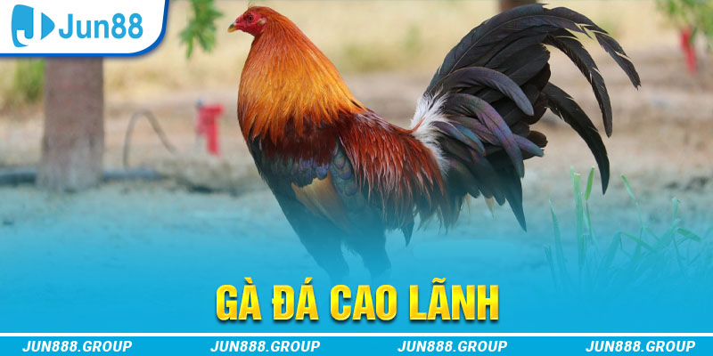1888bet tai game vua bai ve may tinh