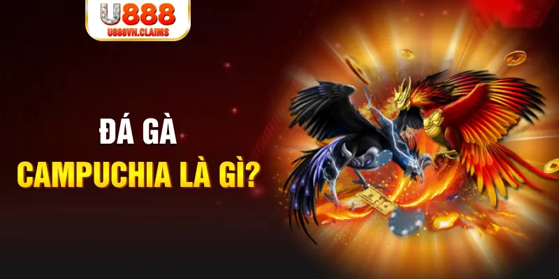 1888bet what is the best online casino for real money