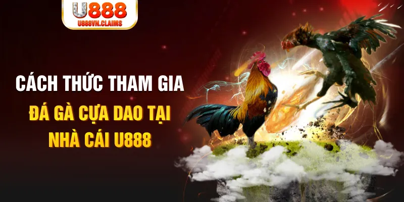1888bet đá gà 88.com