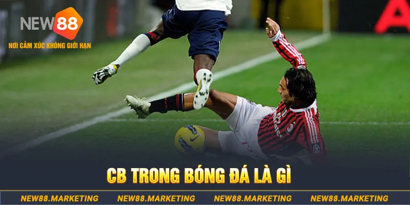 1888bet DG Trực Tuyến