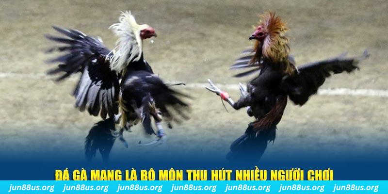 1888bet đăng nhập sòng bạc số 1