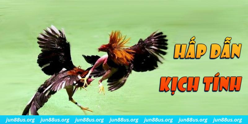 1888bet xổ số miền nam thứ sáu