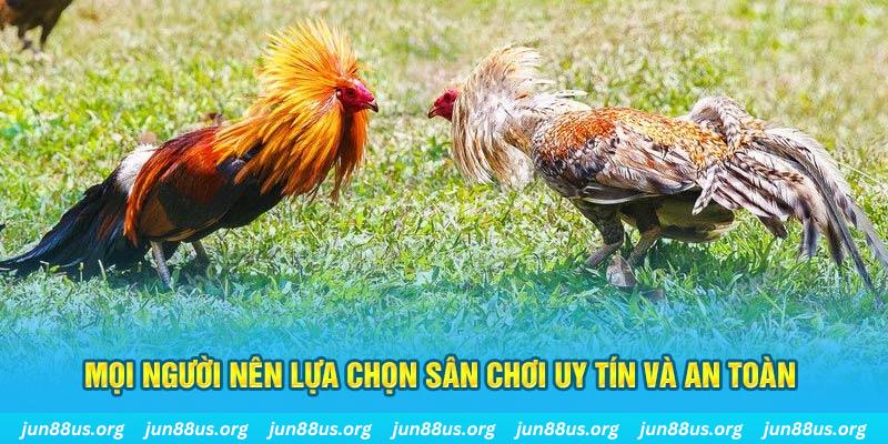 1888bet đăng nhập poker 2025