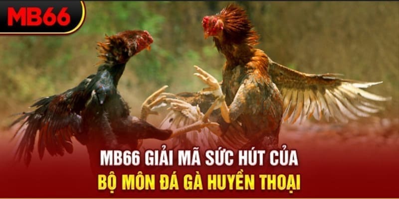 1888bet xổ số đài bắc