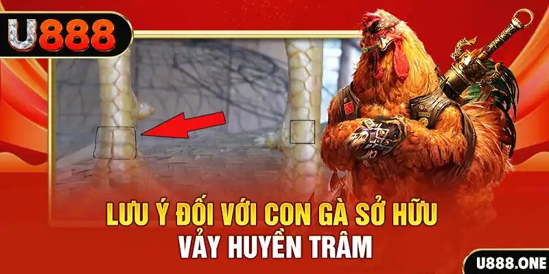 1888bet tải game đánh bài tiến lên miền nam về máy tính