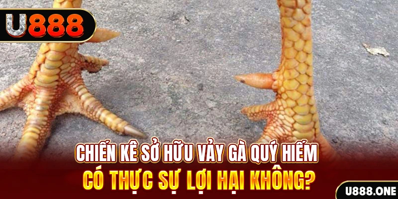 1888bet xổ số miền trung