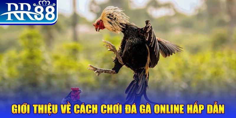 1888bet EvoPlay Điện Tử