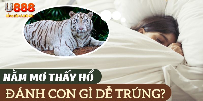1888bet nohu .mx nổ hủ là gì
