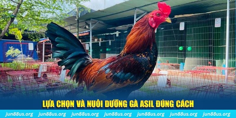 1888bet nổ hũ thần tài là gì