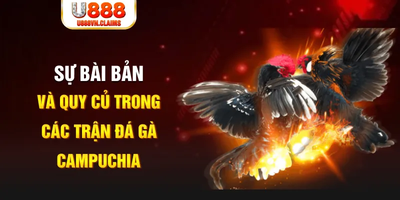 1888bet game xếp bài trên máy tính