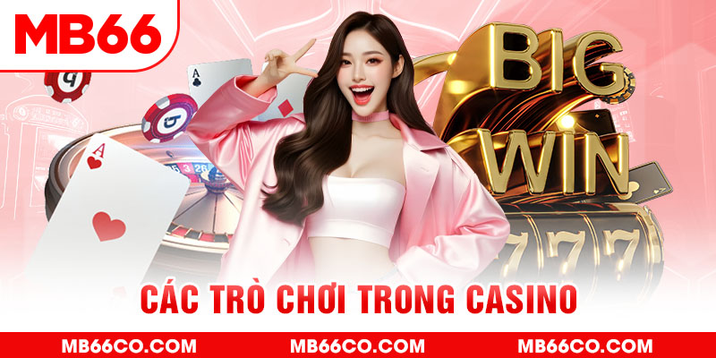 1888bet chổi lông gà