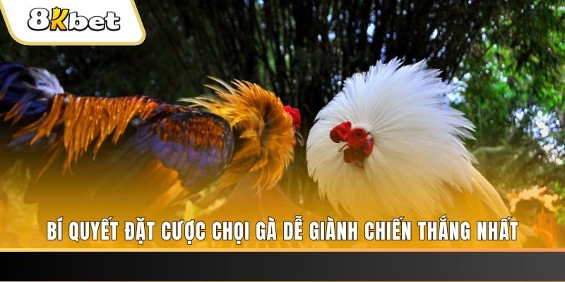 1888bet nổ hũ chơi như thế nào