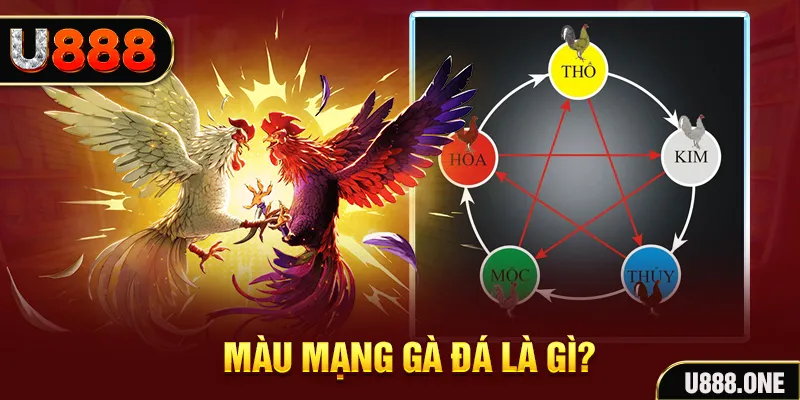 1888bet V8 Game Bài 3d
