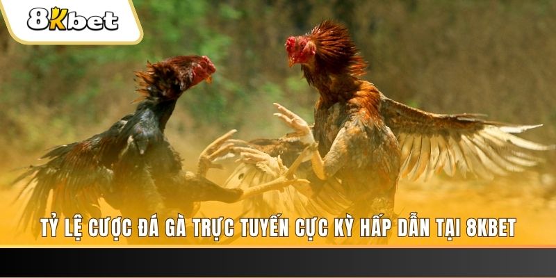 1888bet xổ số miền bắc chủ nhật