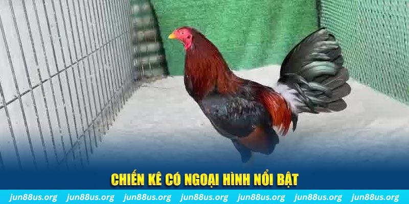 1888bet qq88 bắn cá