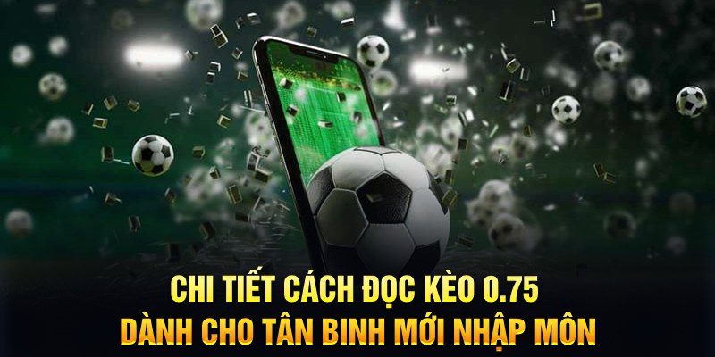 1888bet Xì tố