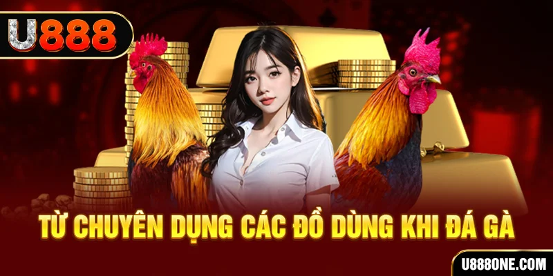 1888bet đăng nhập poker trực tiếp