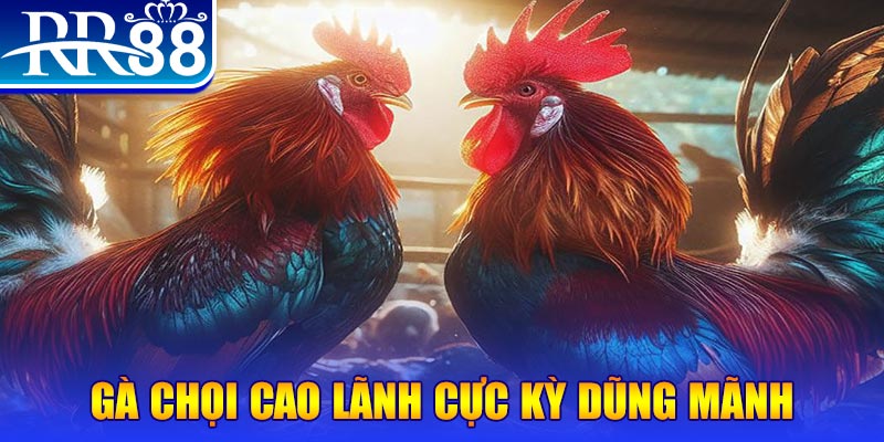 1888bet đăng nhập poker live